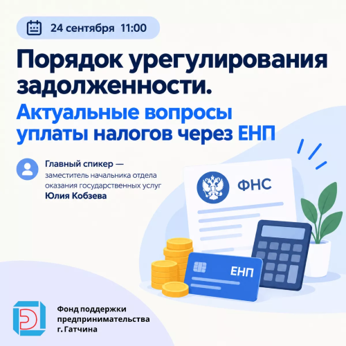 Порядок урегулирования задолженности. Актуальные вопросы уплаты налогов через ЕНП